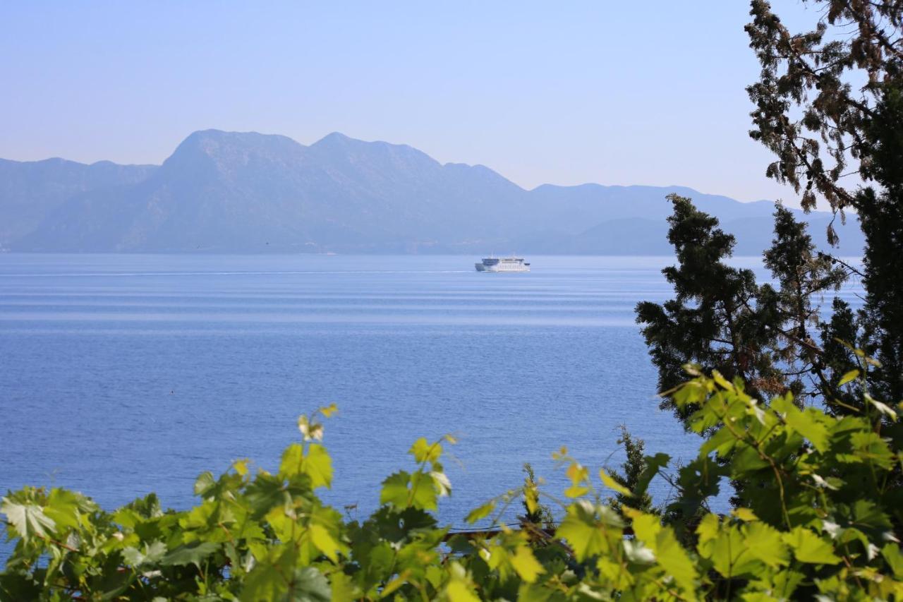 Apartments And Rooms By The Sea Trpanj, Peljesac - 258 Εξωτερικό φωτογραφία
